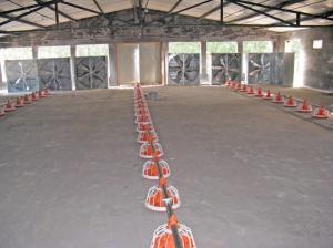 China Feeding system - Poultry fan , Poultry equipment factory