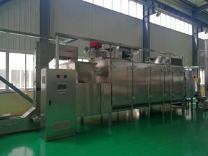 China Ss304 Multifunctional Continuous Peanut Roaster Machine factory