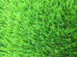 PP 22000m2 None Filler 25mm Football Field Artificial Turf