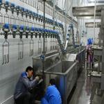 3400KG Halal Poultry Slaughterhouse Equipment Turkey Duck Broiler Chicken