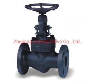 China Industrial DIN Grey Iron Through Way Globe Valve J41T/H/W-16 DN15-300 with US Currency factory