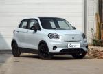 Micro Sedan Leapmotor Car T03 Daily Traveling Small Sedan Pure Electric Car