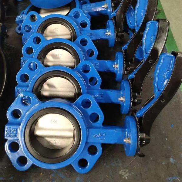 DN100 Stainless Steel Butterfly Valve All Purpose PTFE And Vinyl With Durable