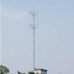 50m Q235 Steel GSM Self Supporting Radio Tower For Park