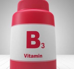 China Large Stoack Vitamin B3 warehouse with low price from China factory