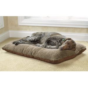 Indoor Memory Foam Cuddler Dog Bed , Grey Mint Medium Memory Foam Dog Bed