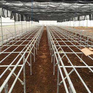 Space Saving DWC Hydroponics System Oxygen Rich For Small Space Vegetable