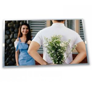 China M215HTN01.3 with 1920*1080 Resolution ODM 21.5-Inch WLED WLED LCD Display Module LCD Modules factory