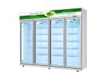 Direct Cooling Commercial Air Cooler Energy Soft Cold Drink Display Fridge