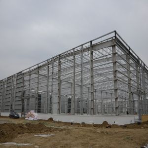 Custom Galvanized Steel Structure Factory Building Q355 Q235