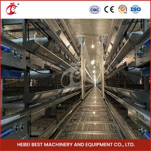 China Automatic Poultry Farm Equipment With Automatic Feeding System Rose factory