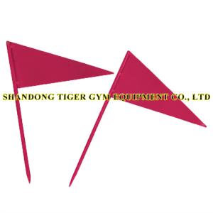 China Track and Field Equipment Record of Iron Flag factory