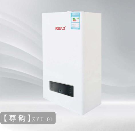 Stainless Steel Gas Heating Hot Water Supply Combi Wall Mounted Gas Boiler For