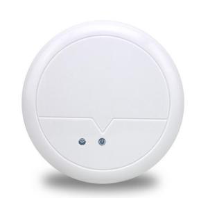 China 300mW High power ceiling mount wireless Access Point router factory