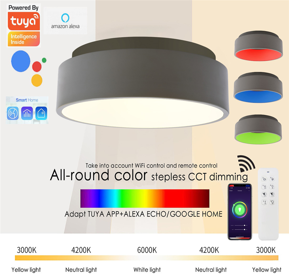 Smart Wi-Fi Indoor Fixture