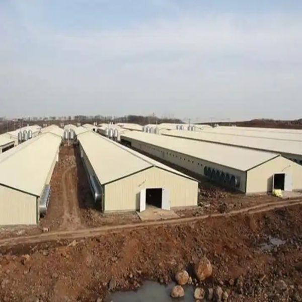 PureFlow Poultry Unit with Optimized Airflow Heavy-Duty Construction and Modular Design for Poultry Farming