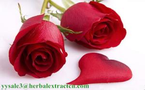 China Rose extract , Rose hip extract, Roselle Extract, Cellulite slimming, beauty emollients, 100% natural factory