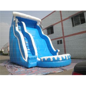 Shark Inflatable Water Slide (CYSL-37)