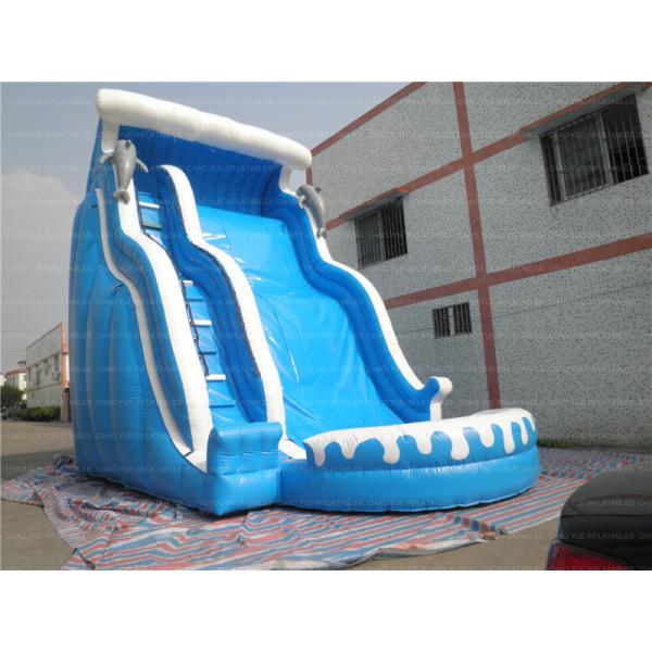 China Shark Inflatable Water Slide (CYSL-37) factory