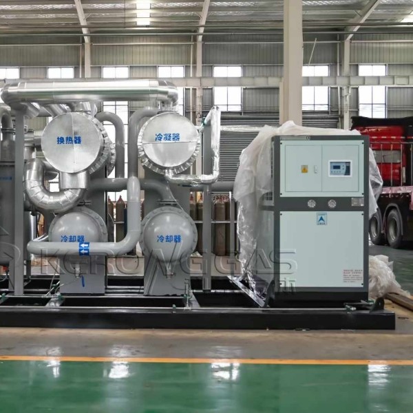 China Zero Loss High Pressure Argon Gas Industrial Gas Drying Machine factory