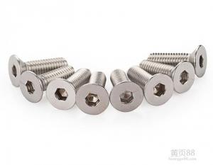 China stainless steel bolt/screws factory