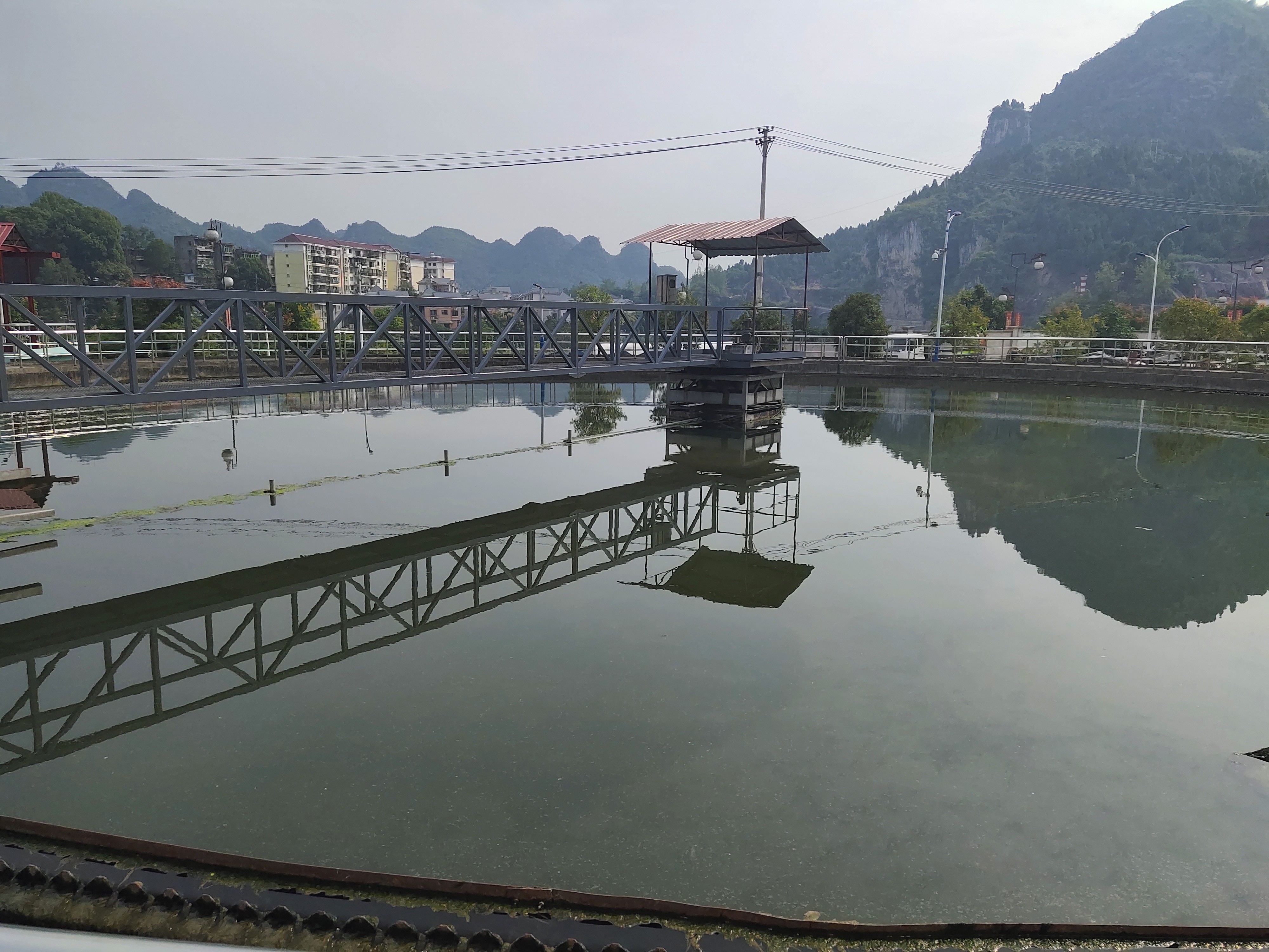 Half Bridge Sludge Scraper Equipment Peripheral Drive Carbon steel