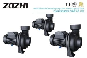 China NFM Series Centrifugal Water Pump 1hp 2hp 3hp Compact Size For Gardening Irrigation factory