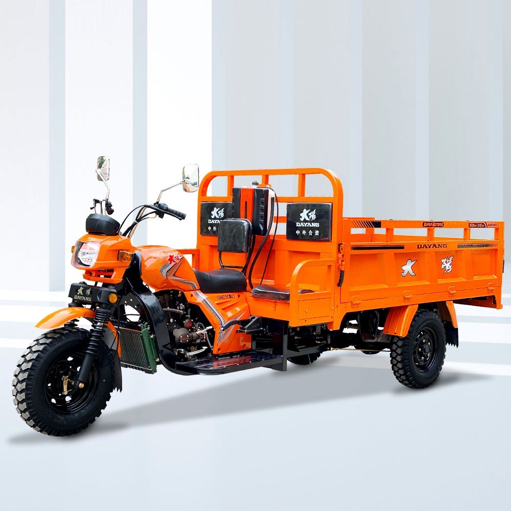 2016 DAYANG 200cc/250cc/300cc Three Wheel Motorized Cargo Tricycle with 5.00-12 Tires