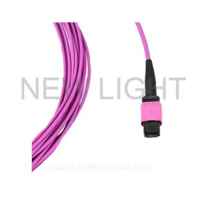 OS2 OM3 OM4 MPO MTP Fiber Optic Cable for 100 Gigabit Ethernet with Low Loss and