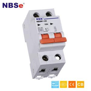 China IEC60947-2 10KA Industrial Mcb Breaker Switch High Breaking Capacity factory