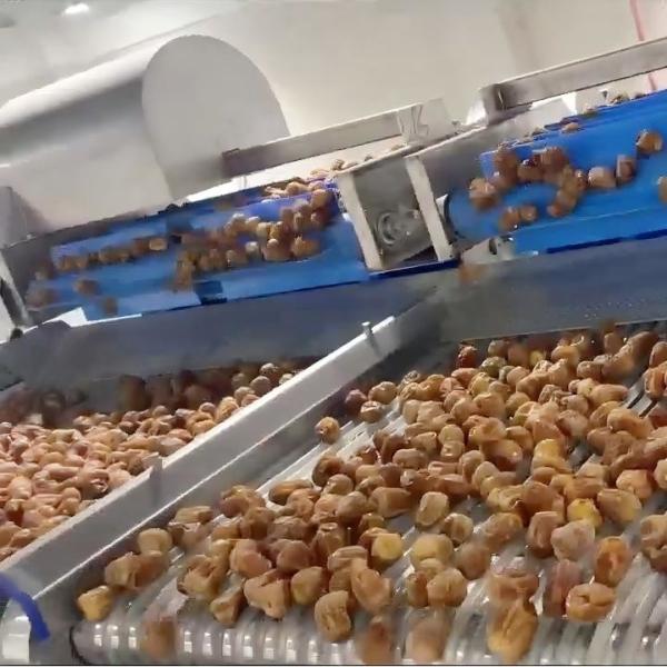 China 360° Rotating Dates Grading Machine High Precision Defect Detection Customizable 304 SS Carbon Steel 14806x3328x2436mm factory