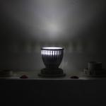 3*2W Spotlight