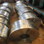 Thickness 0.12-4mm Prepainted Galvanized Steel Strips for ASTM/AISI/SGCC/CGCC