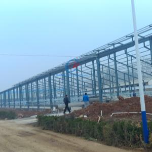 China Prefab Steel Structure Shed , Natural Ventilation Metal Shed Buildings factory