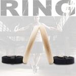 Custom logo Fitness Strength Training Wooden Gym Ring with Adjustable Nylon