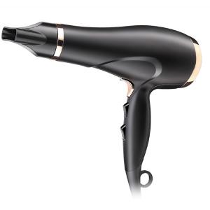 China 220V Plastic Professional Salon Hair Dryer With Ionic Function factory