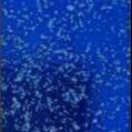 Dazzling Blue Marble Effect Wall Tiles Bathroom Verde Green Marble Tile Metallic