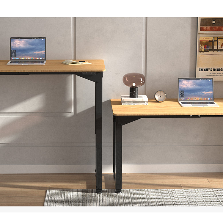 Ergonomic Dual Motor Stand Up Desk for Gaming and Office 100 V/Hz Height Adjustable