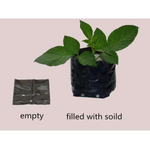 Lightweight Basin 1gal PE Heavy Duty Poly Grow Bags With Hole