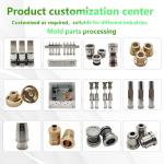 Dongguan Professional Assab Die Steel Core Insert Mold Tooling for Daily