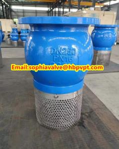 China PN16 GG25 cast iron foot valve factory