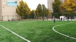 Artificial Grass Soccer Sport Football Artificial Grass Turf 40-60mm