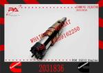 2029622 Genuine Diesel Common Rail Fuel Injector 1948565 2030519 2031836 2031835