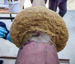 Petrol Mastic For Flange Fitting Sealing And Corrosion Protection