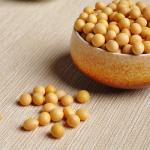 1.5D (1.76dtex)*51MM Natural Soybean Protein Fiber Anti Ultraviolet