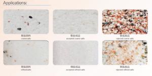 China Sea Salt Processing Stainless Steel 5T/H Optical Color Sorter factory