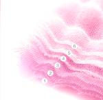 40S Modal Woven Pink Gauze Fabric