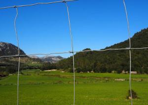 China H2.4m High Tensile Field Fence Metal Wire Fence For Farm And Pasture factory
