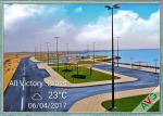 Monofilament Decorative Garden / Landscaping Artificial Grass Wall Non - Infill