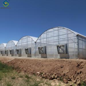 China Multi Wall Polycarbonate Gothic Style Greenhouse With Hollow Sheet factory